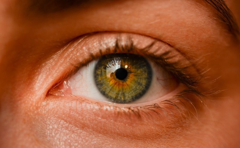 Oczy to jednostkowy organ. To właśnie dzięki nim odczuwamy.